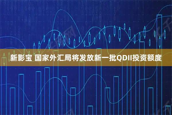 新影宝 国家外汇局将发放新一批QDII投资额度