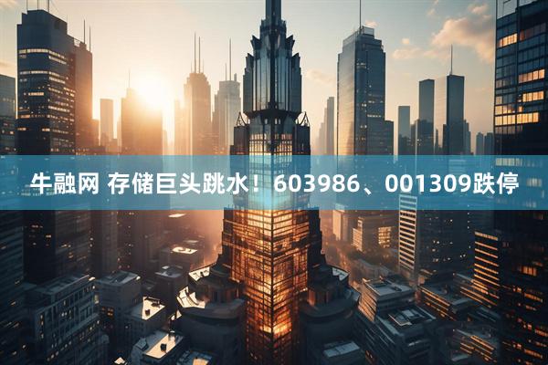 牛融网 存储巨头跳水！603986、001309跌停